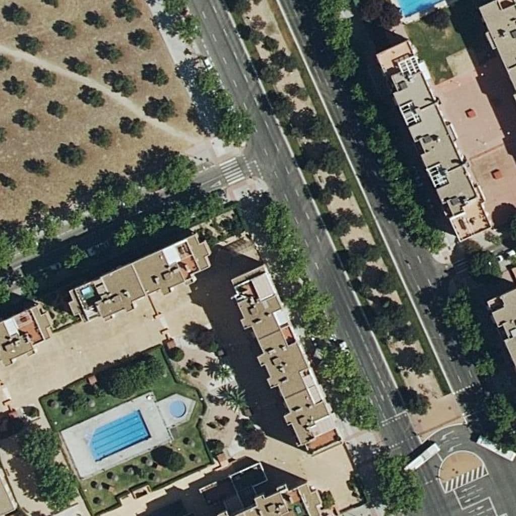 Aerial view of the grounds of Nayer Kids