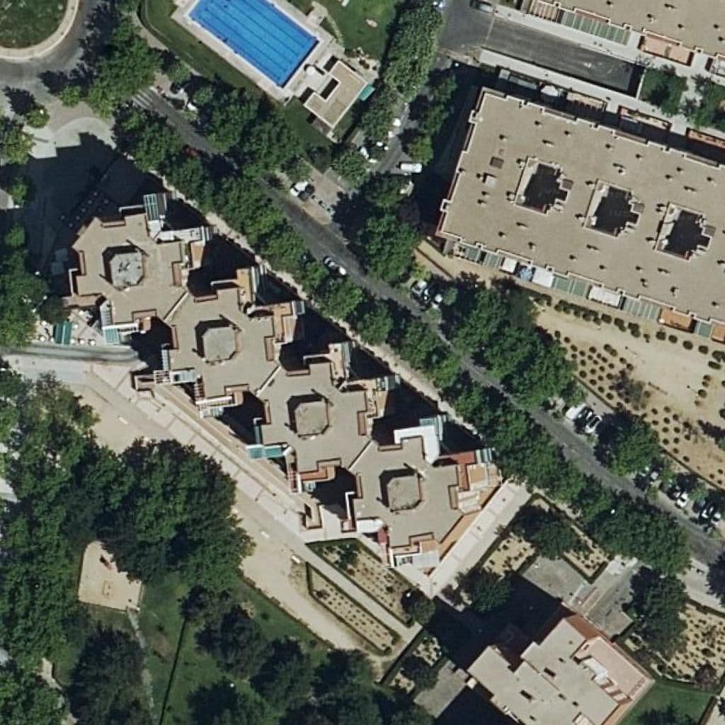 Aerial view of the grounds of Gatitos