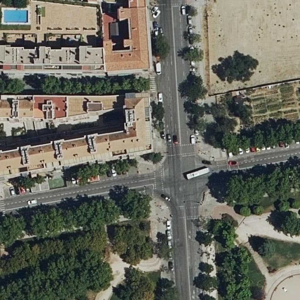 Aerial view of the grounds of Sunny Baby