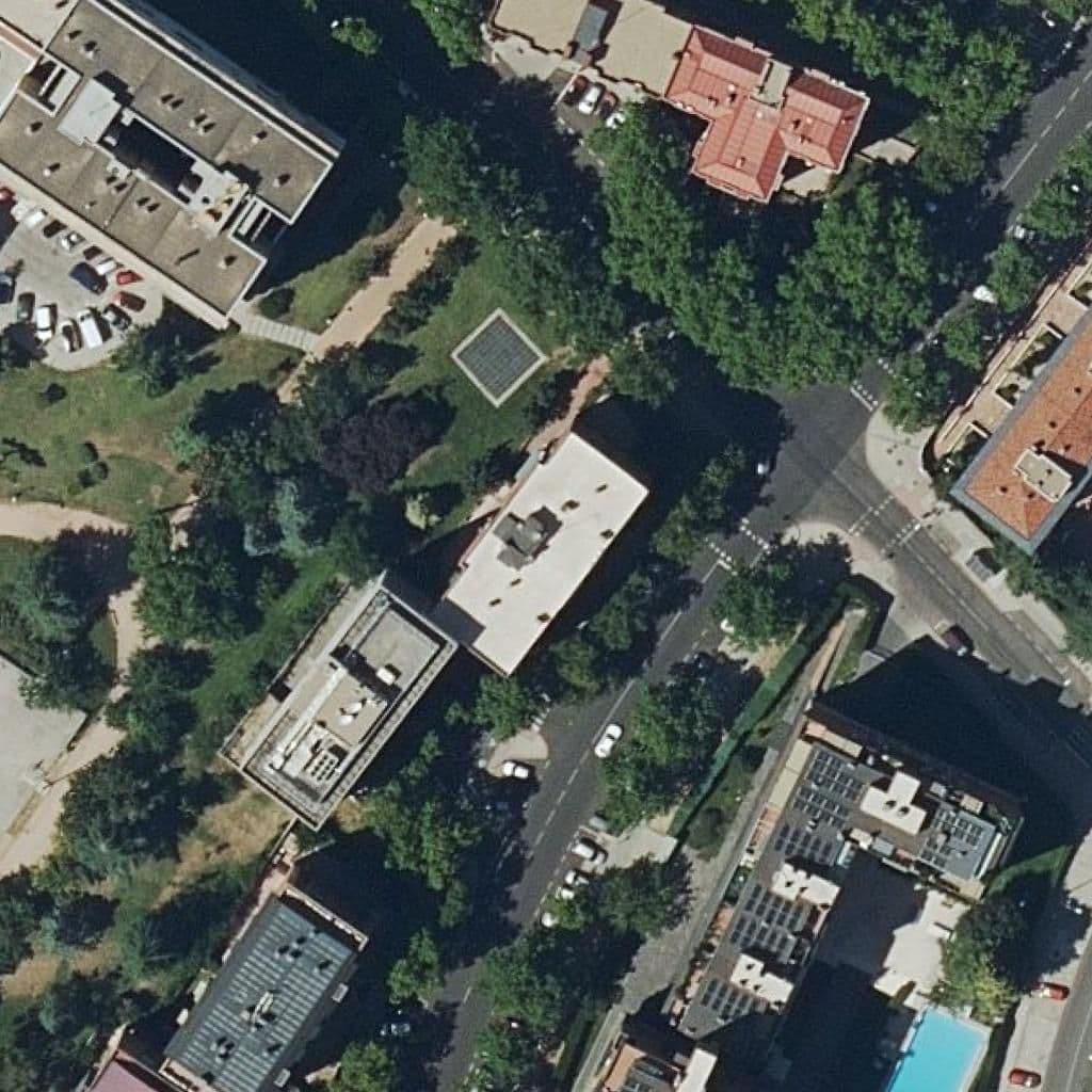 Aerial view of the grounds of Nuevo Cascabel