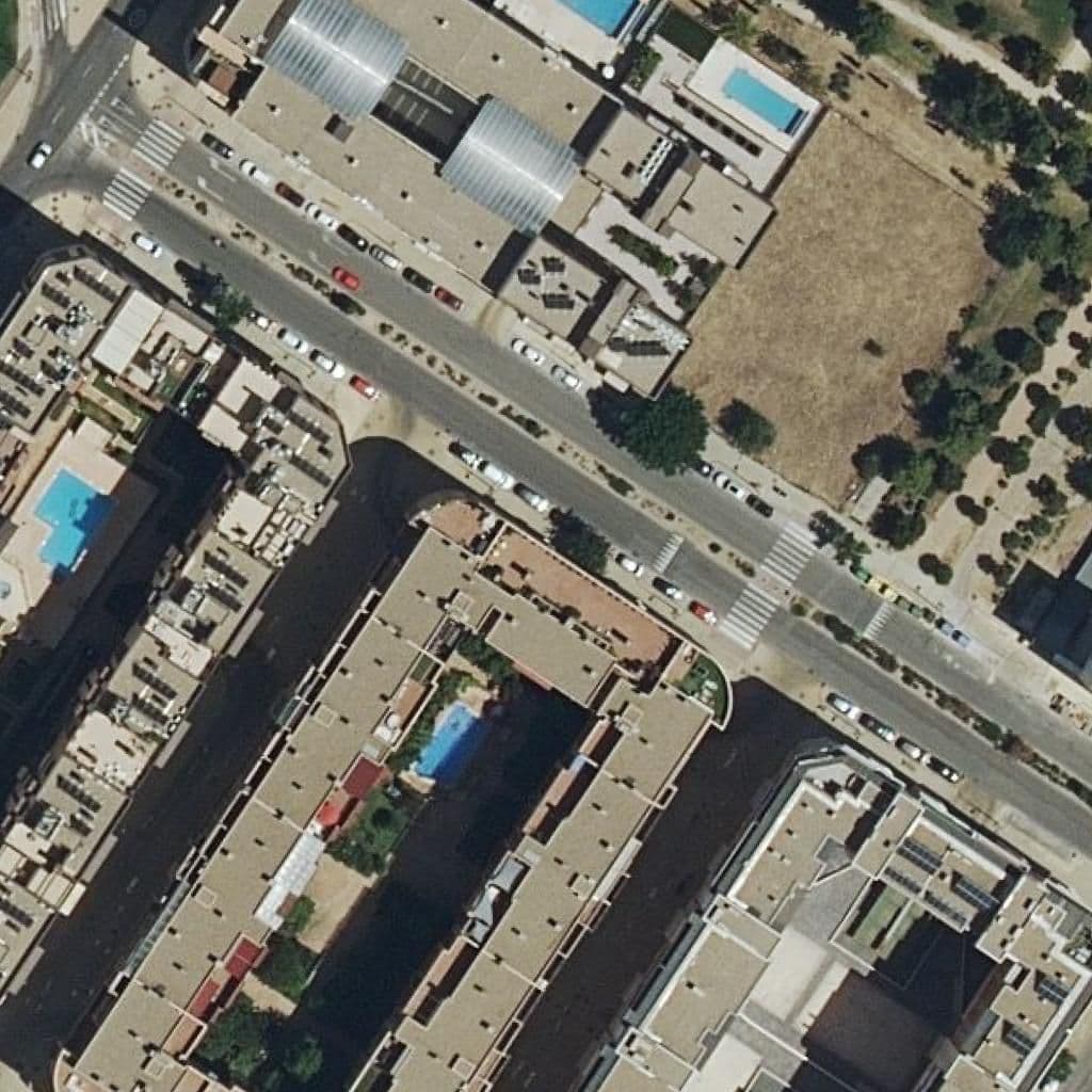 Aerial view of the grounds of Baby Luna