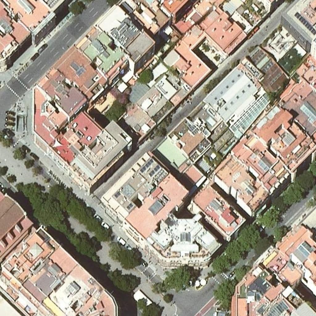 Aerial view of the grounds of Granés