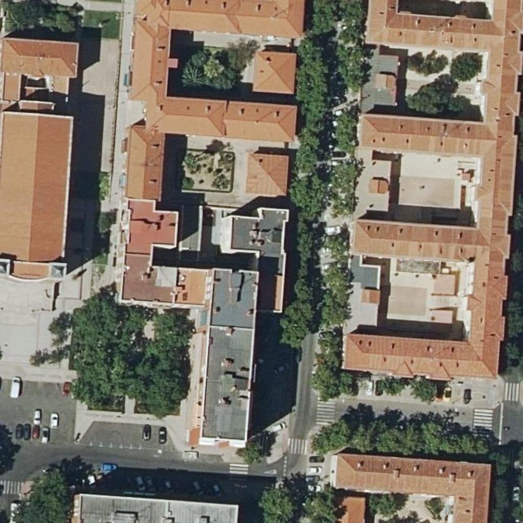 Aerial view of the grounds of Pizcas