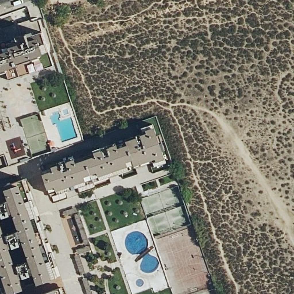 Aerial view of the grounds of Little Kids