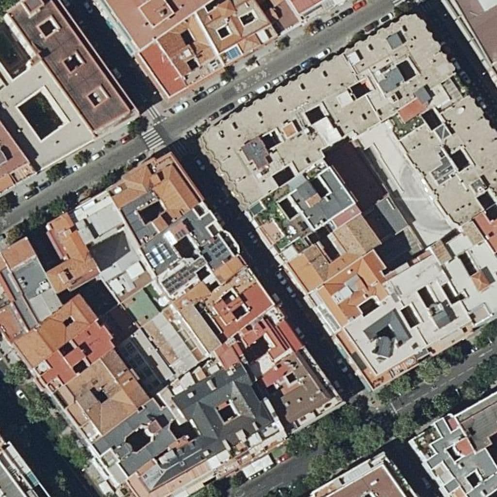 Aerial view of the grounds of Centro De Estudios Luis Vives