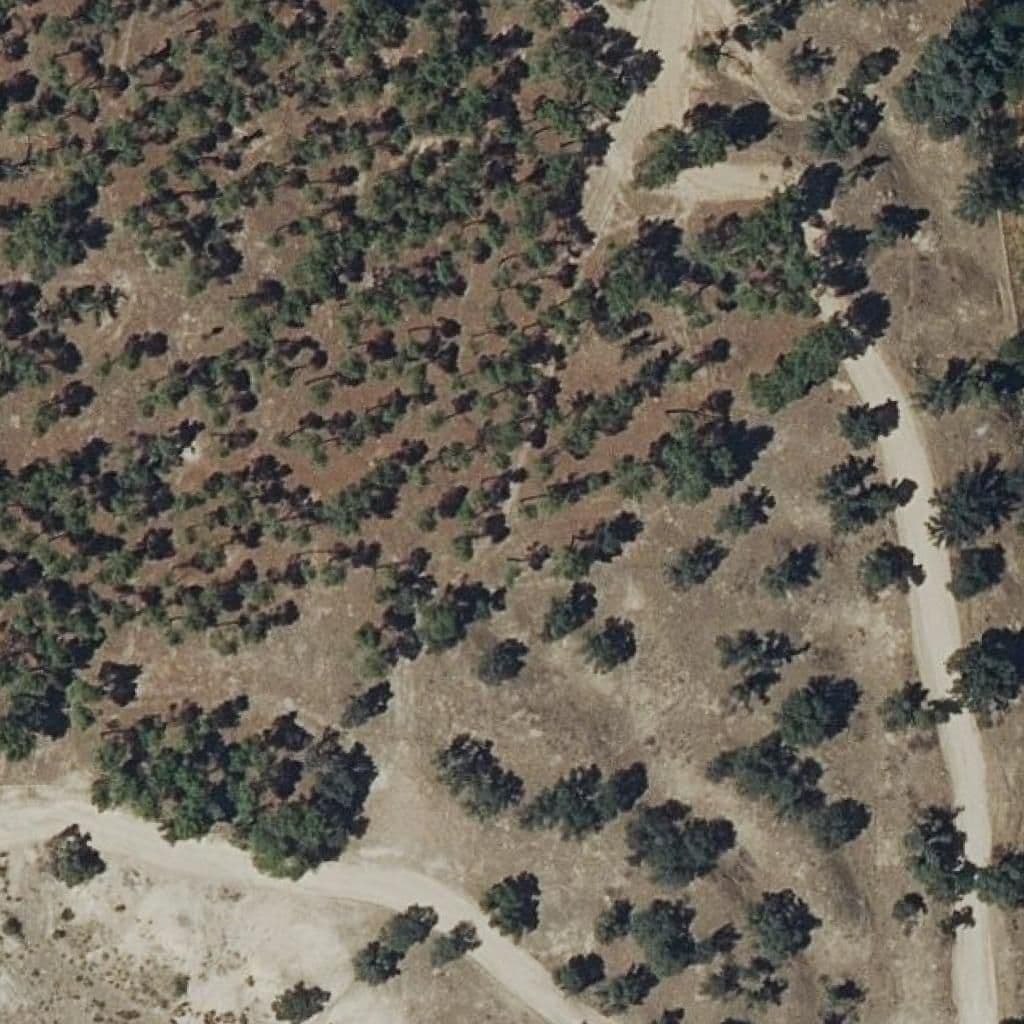 Aerial view of the grounds of Jesús Cobos Téllez