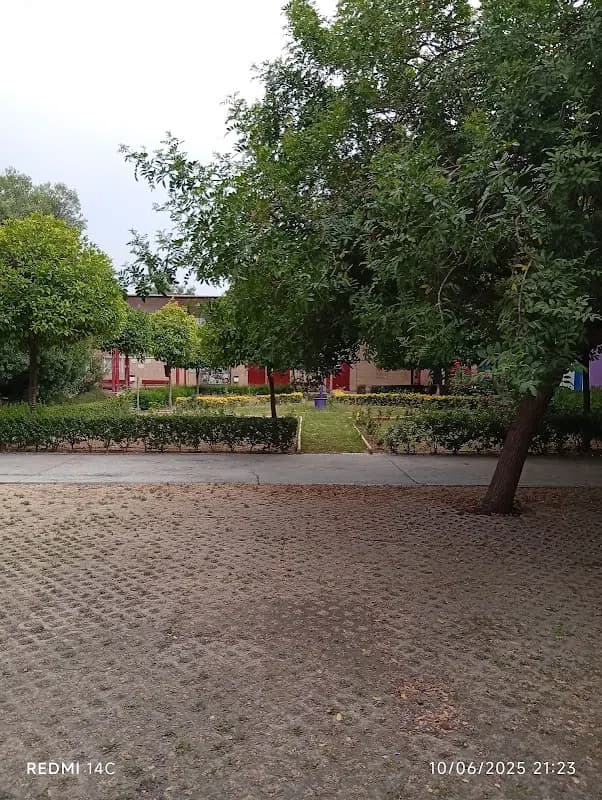 Photo 3
