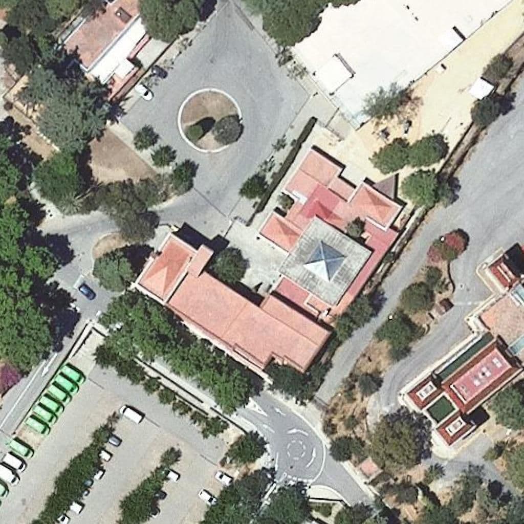Aerial view of the grounds of Escola Els Pins