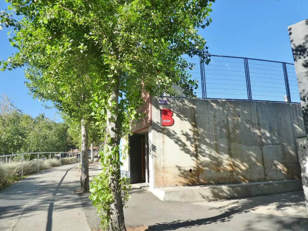 Photo 5