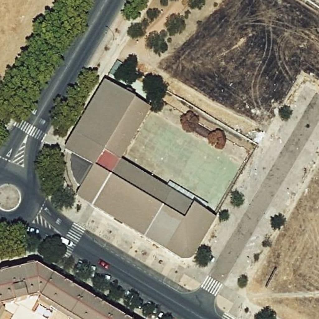Aerial view of the grounds of Ramón Y Cajal