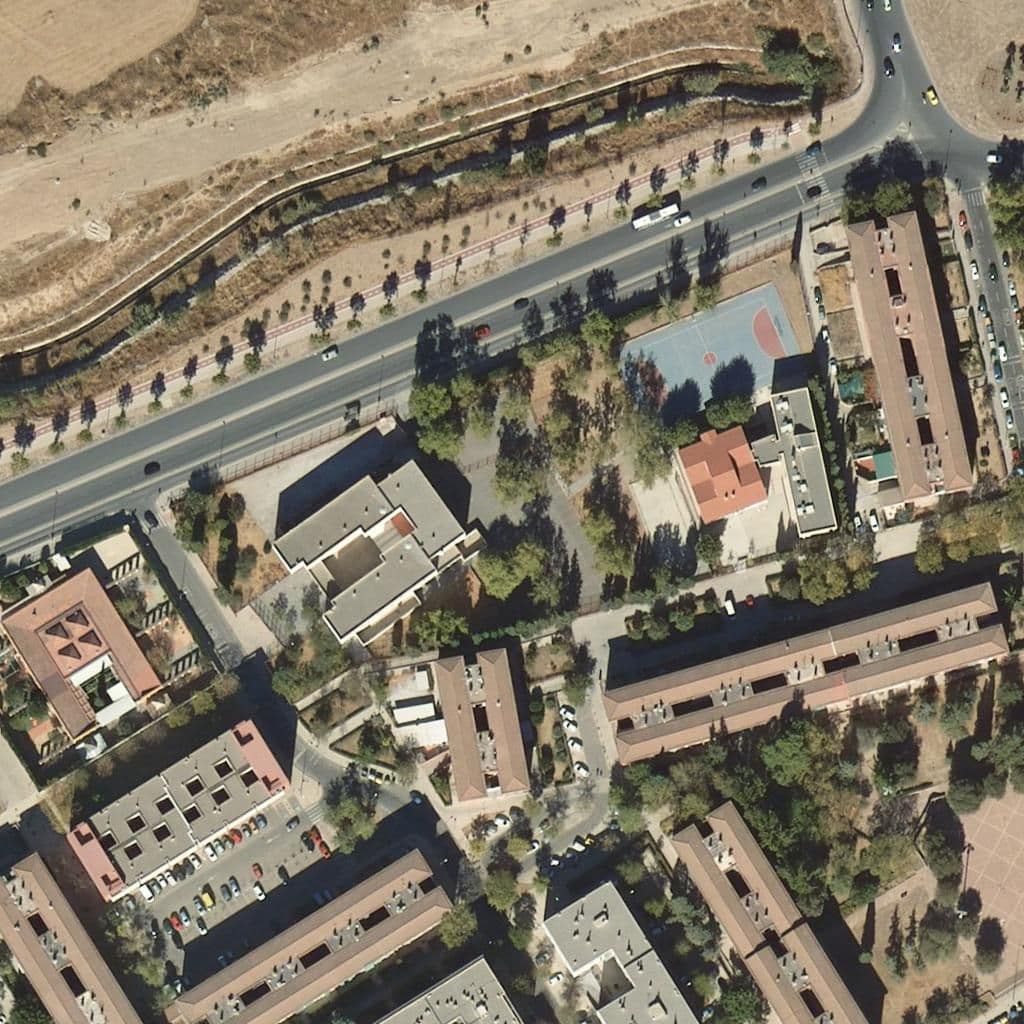 Aerial view of the grounds of Arrayanes