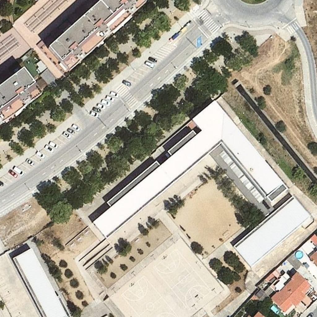 Aerial view of the grounds of Institut Olivar Gran