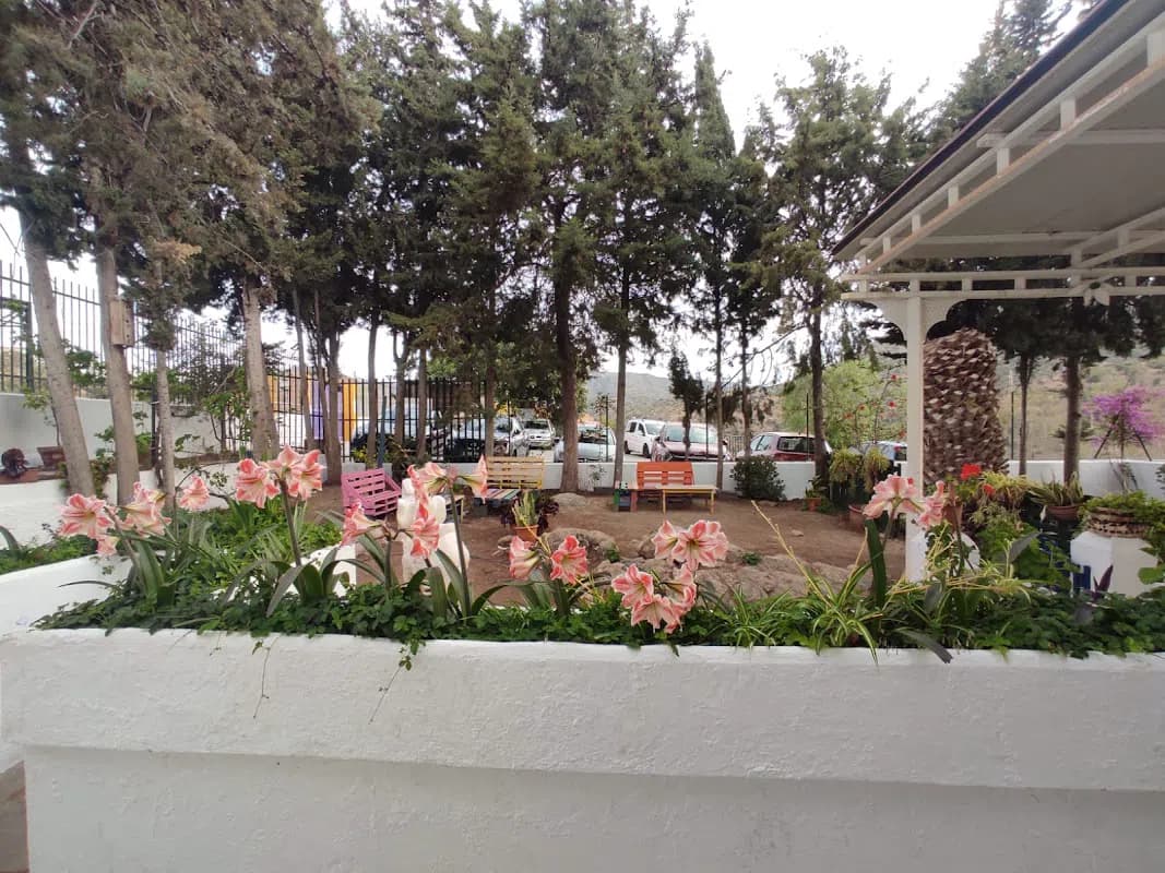 Foto 5