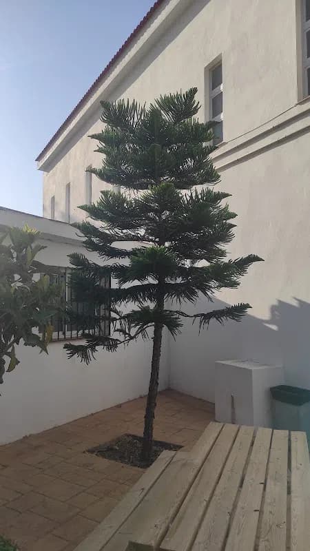 Фото 3