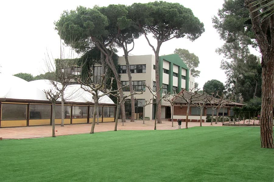 Photo 5