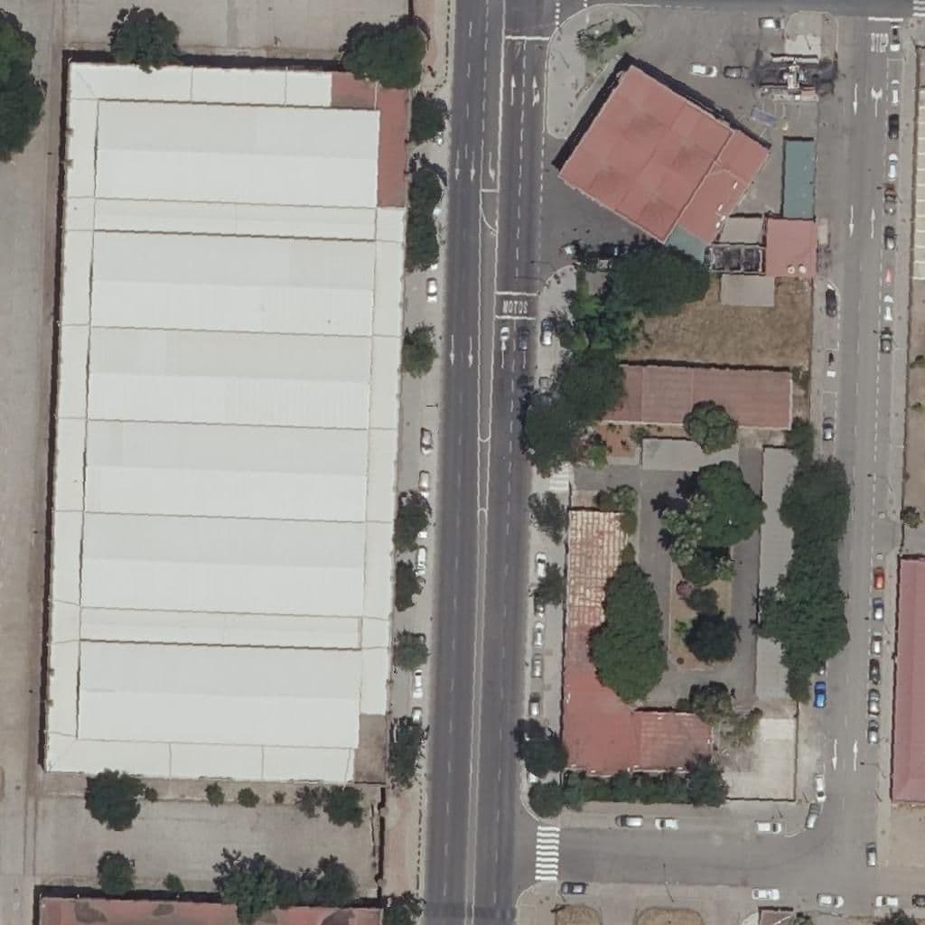Aerial view of the grounds of Corpus Christi