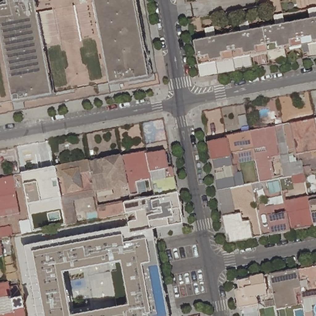 Aerial view of the grounds of Bambi Y Flor