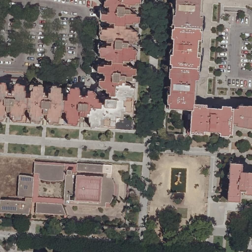 Aerial view of the grounds of Arbolito