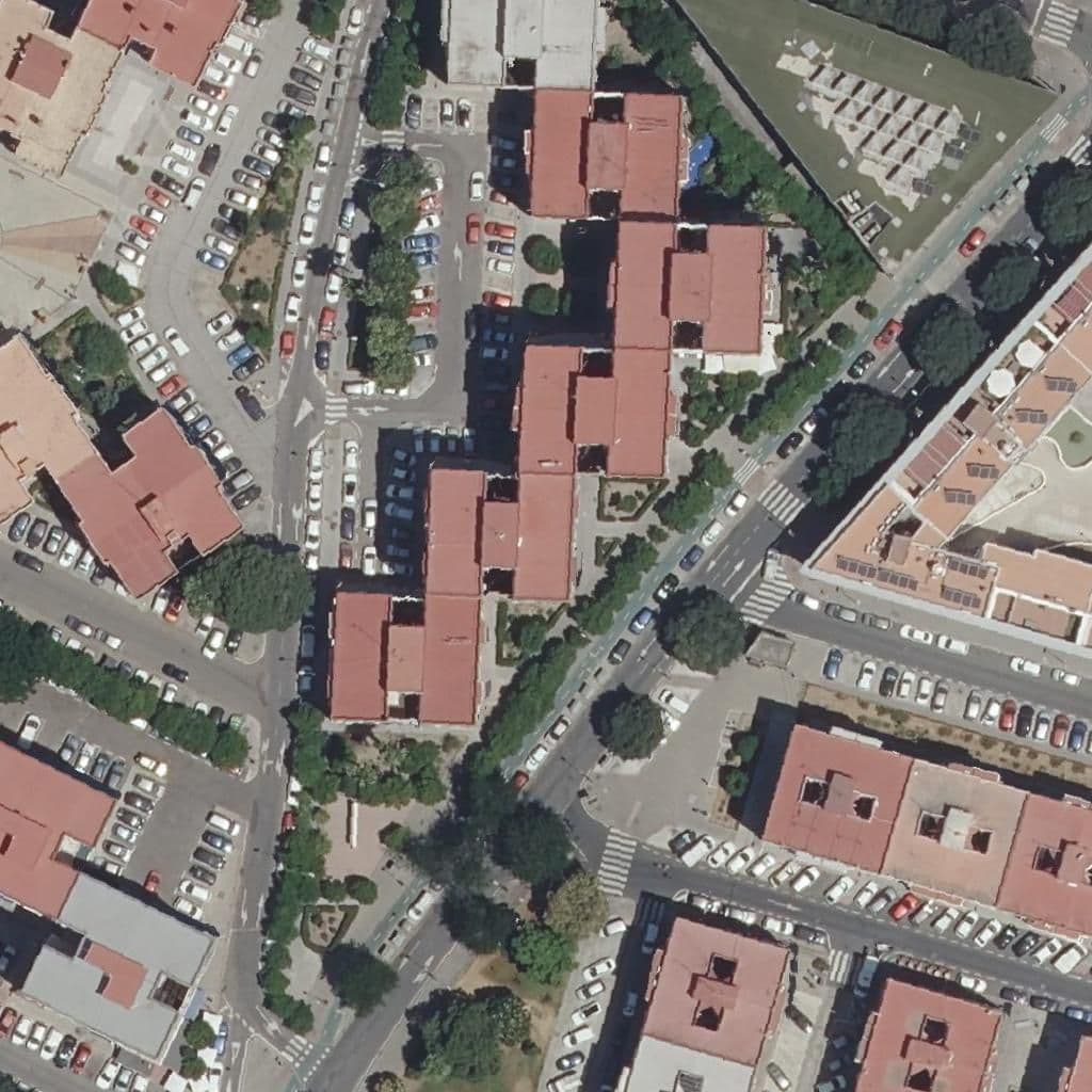 Aerial view of the grounds of Los Diminutos 2