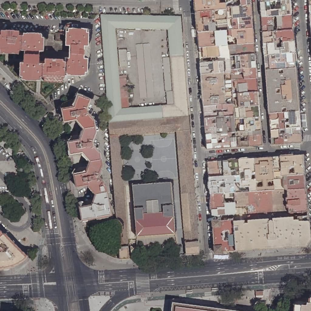 Aerial view of the grounds of My Nursery Nervión