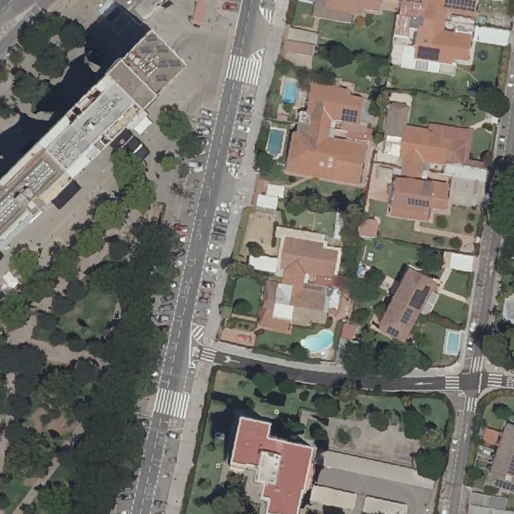 Aerial view of the grounds of Limoncho