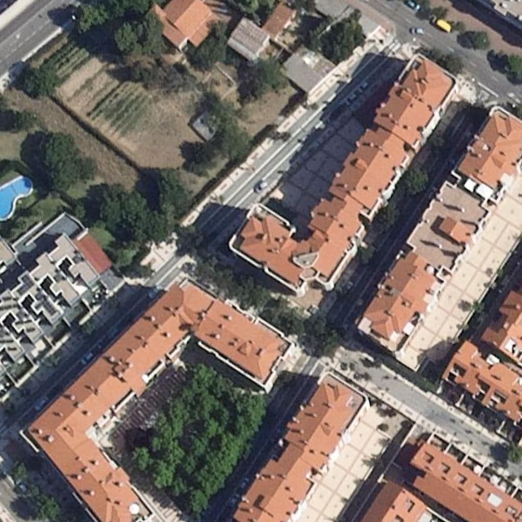 Aerial view of the grounds of Árbol Sabio