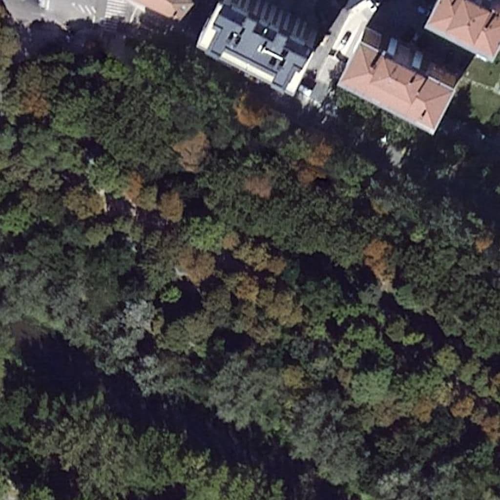 Вид сверху на территорию школы «La Isla Mágica»