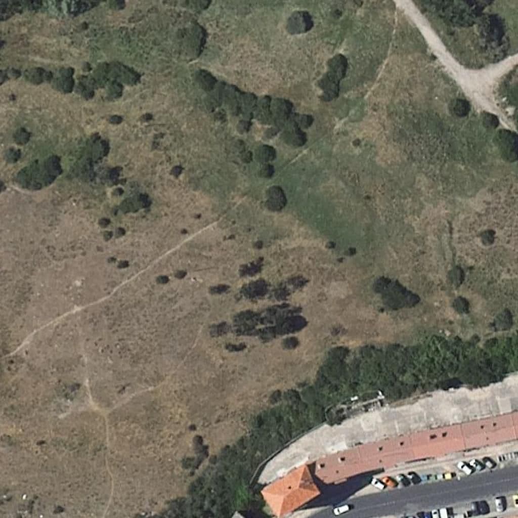 Aerial view of the grounds of Logos 1º Kidschool