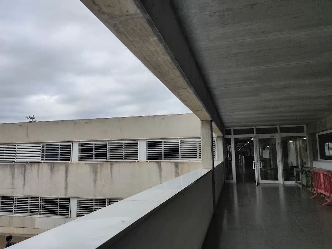 Institut S'agulla