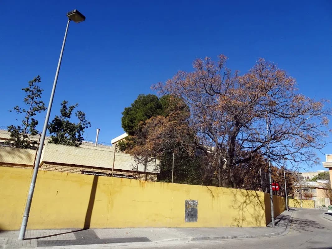 Ceip Nuestra Señora Del Carmen
