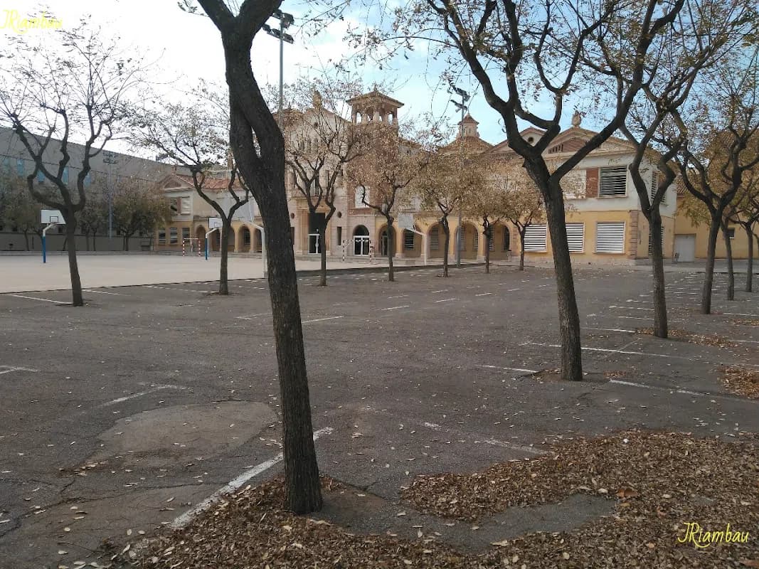 Photo 3