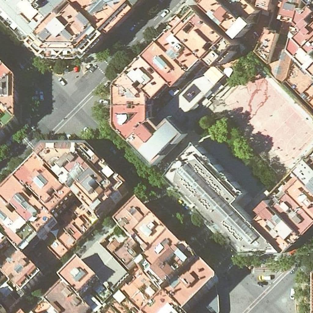 Aerial view of the grounds of Escola Carlit