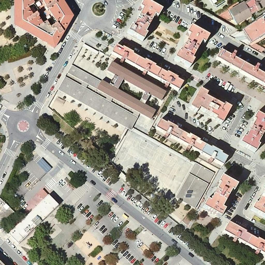 Aerial view of the grounds of Escola La Vinyala