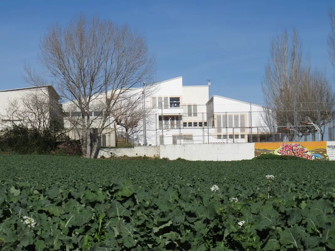 Institut Pla De L'estany