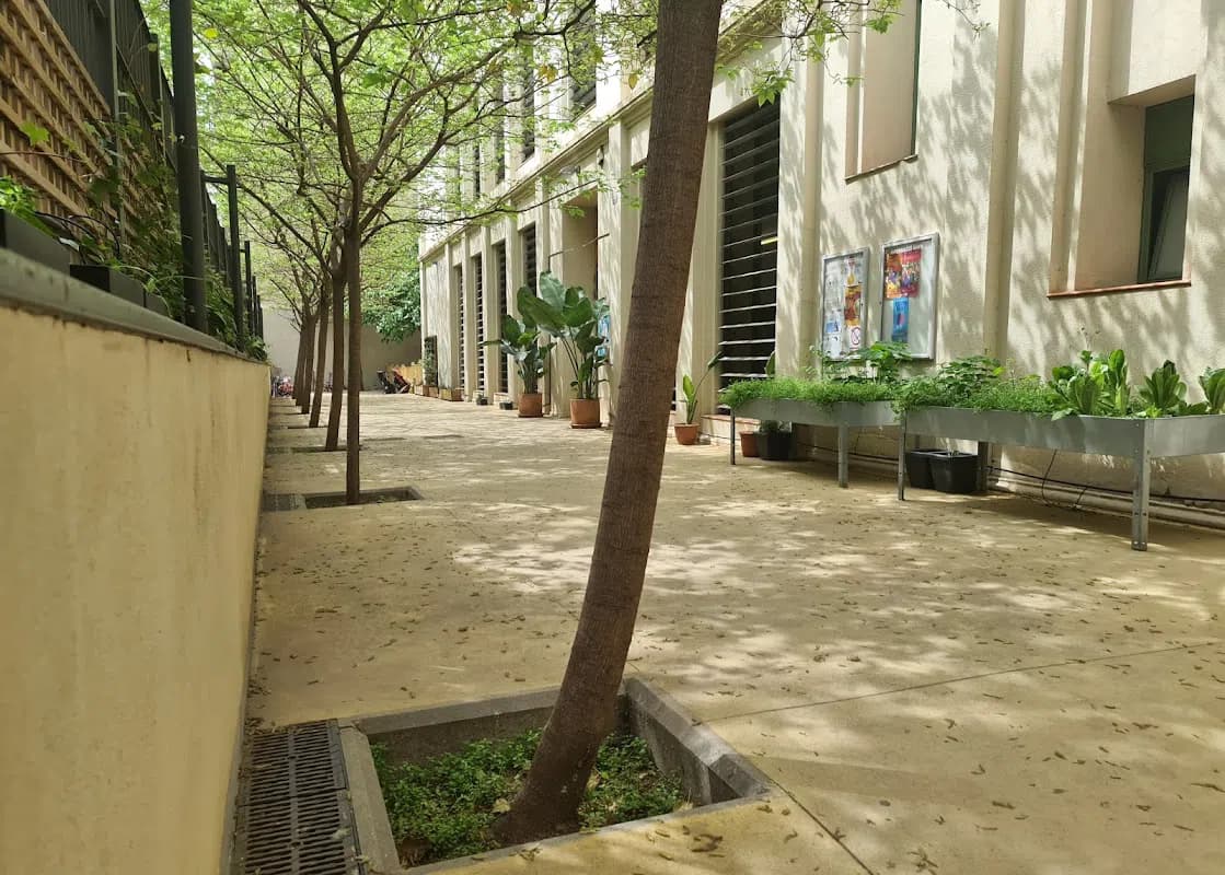 Photo 4