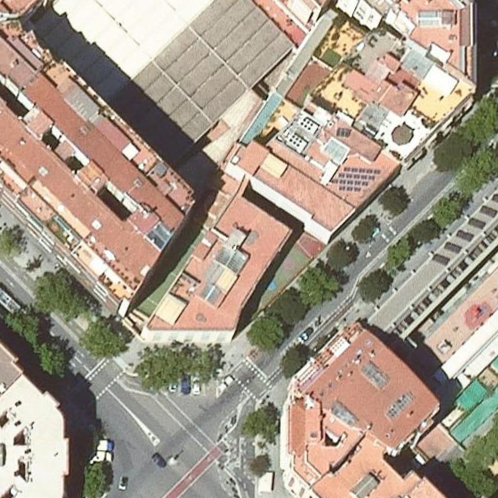 Aerial view of the grounds of Institut Escola Londres