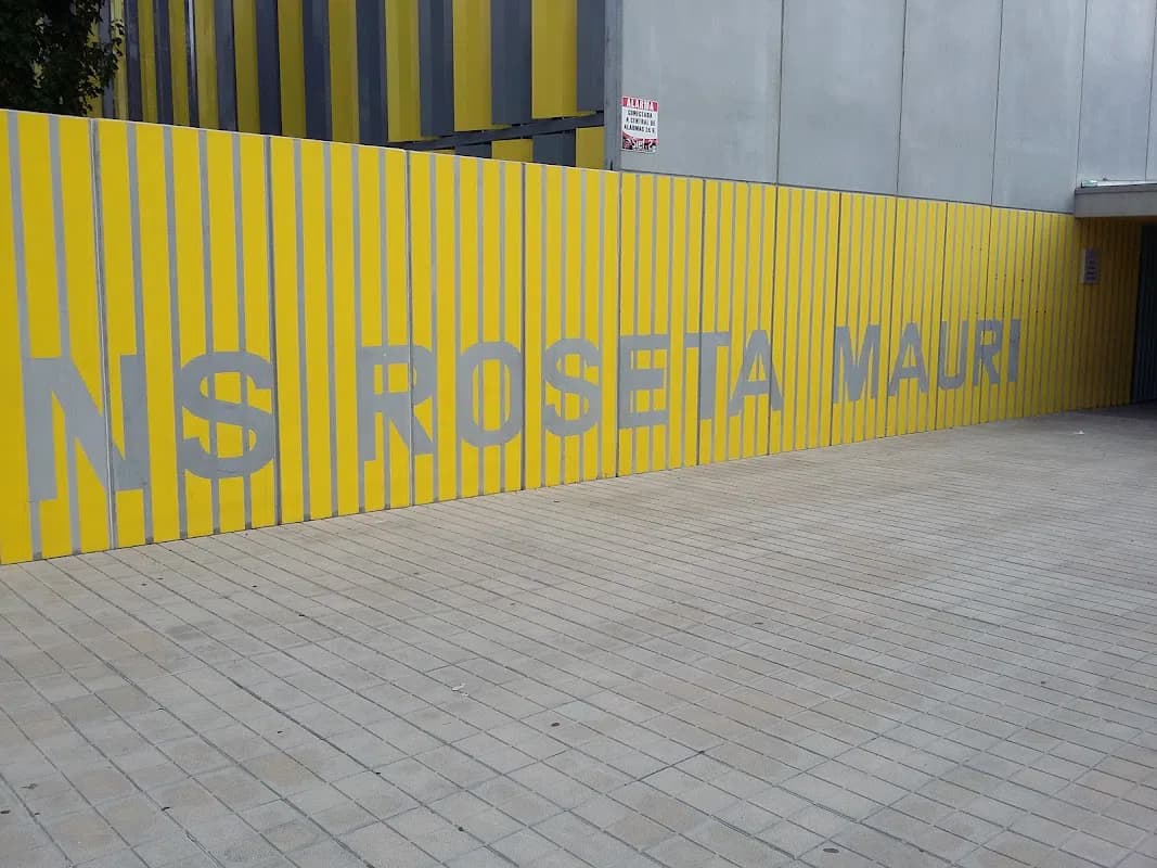 Institut Roseta Mauri