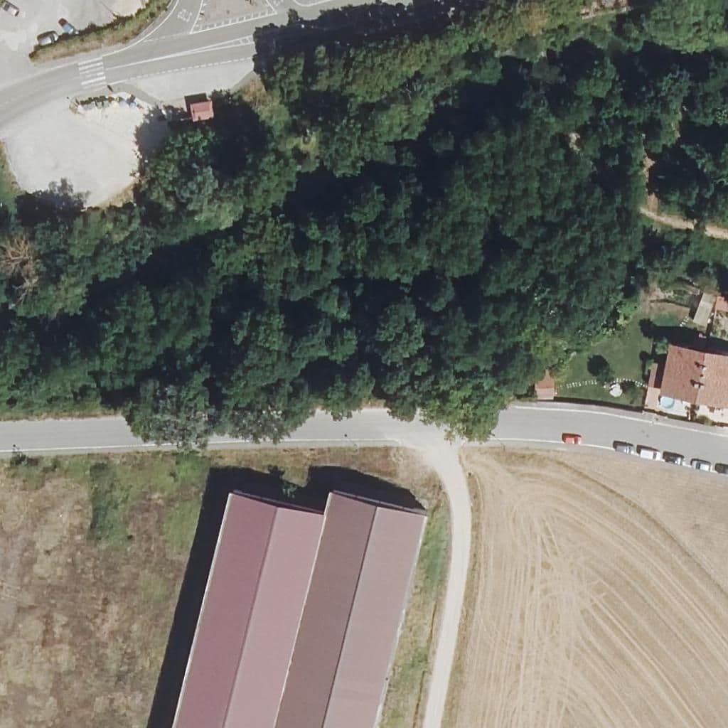 Aerial view of the grounds of Condado de Treviño
