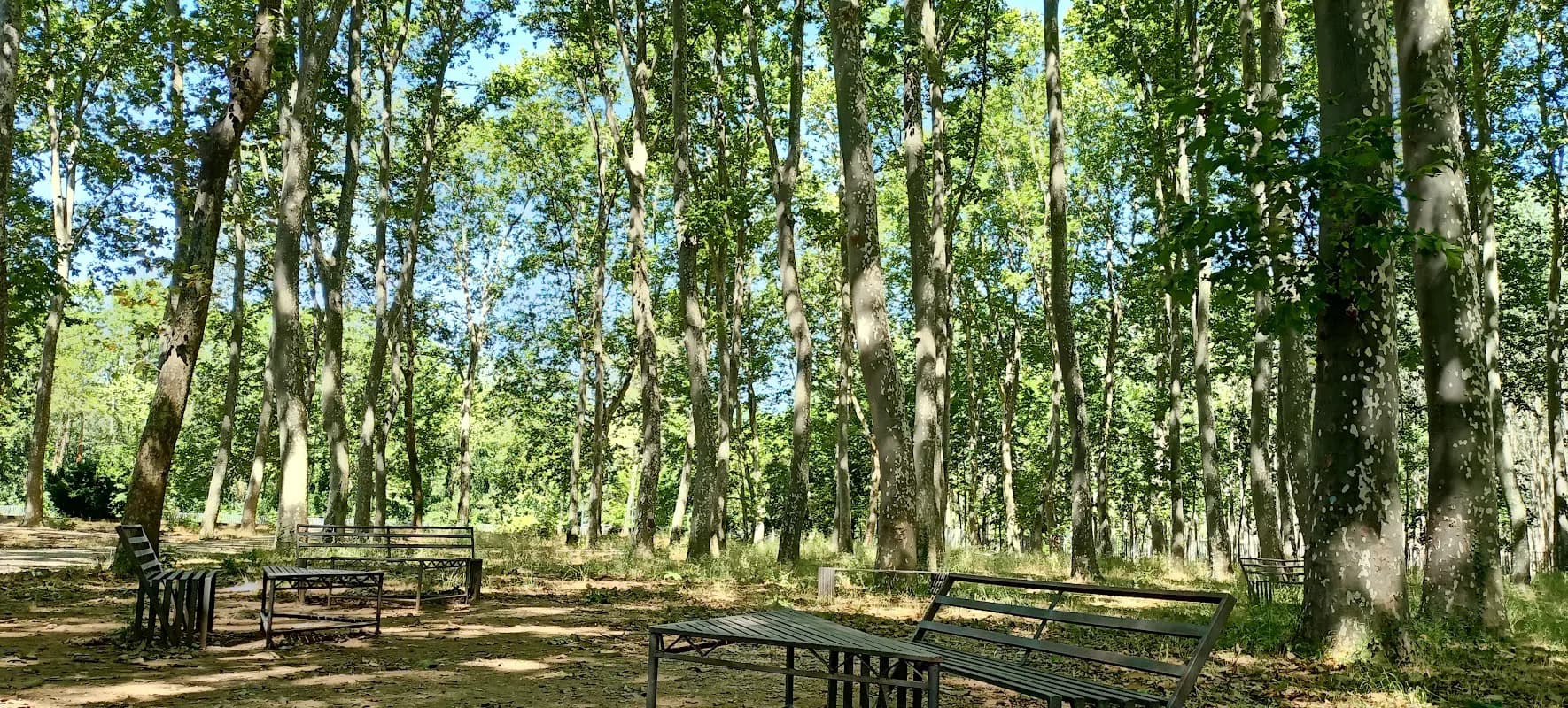 Institut Narcís Xifra I Masmitjà