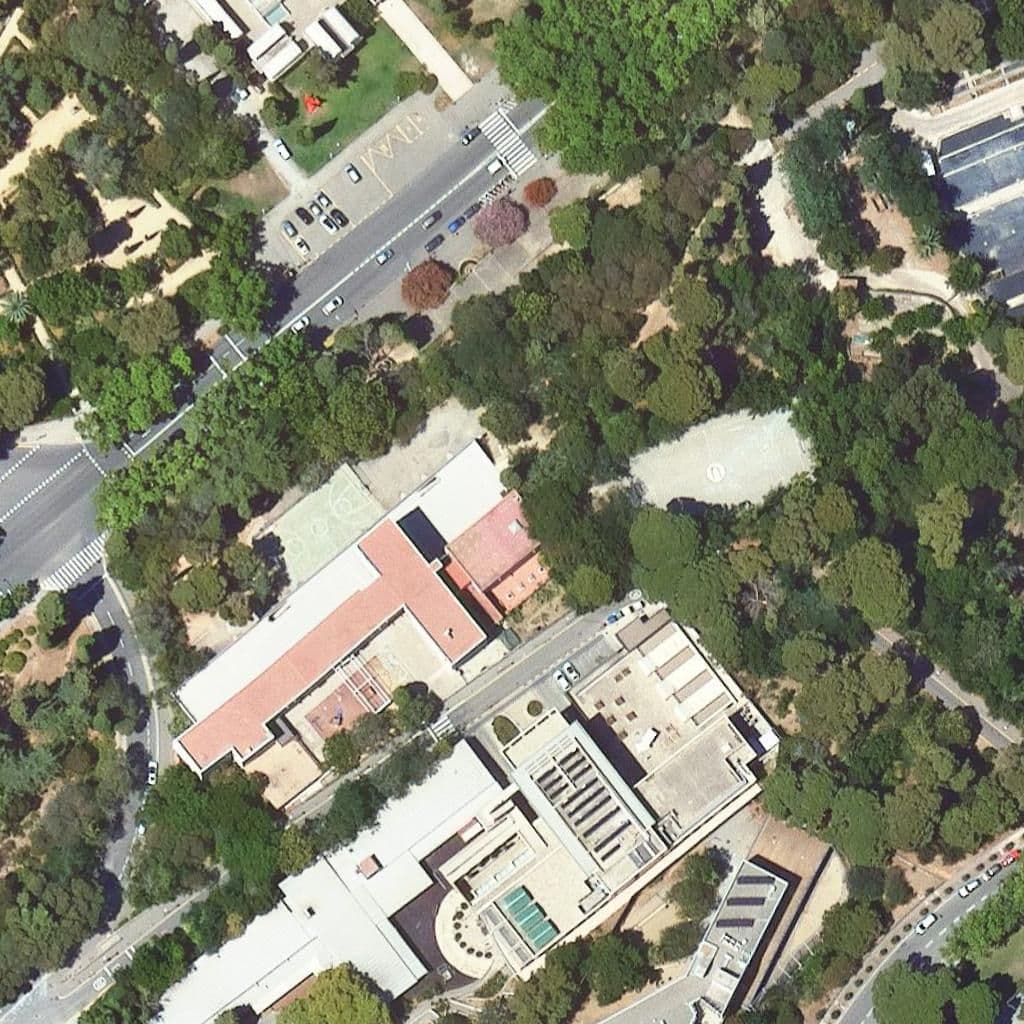 Aerial view of the grounds of Escola Tres Pins