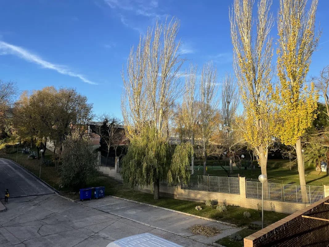 Foto 4