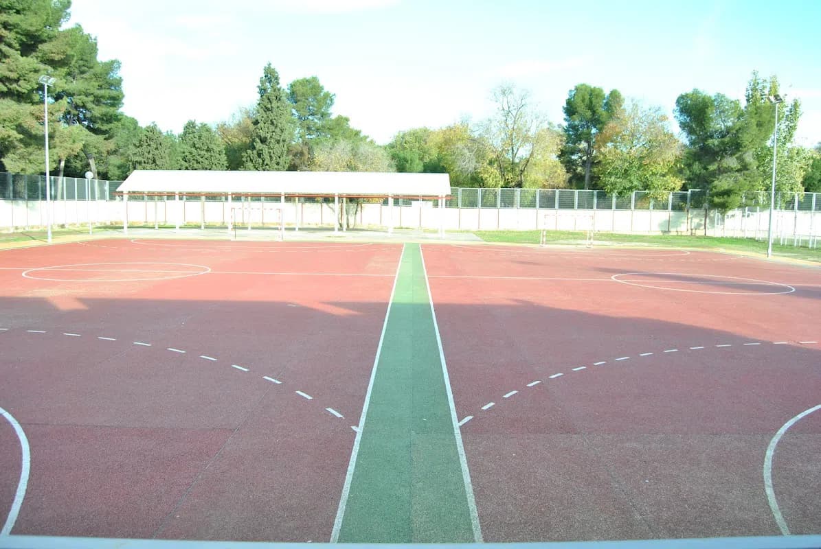 Photo 5