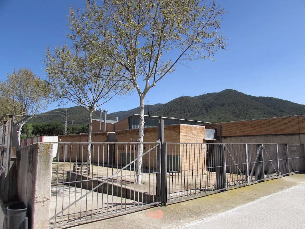 Photo 5