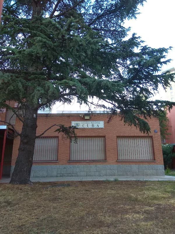 Photo 5