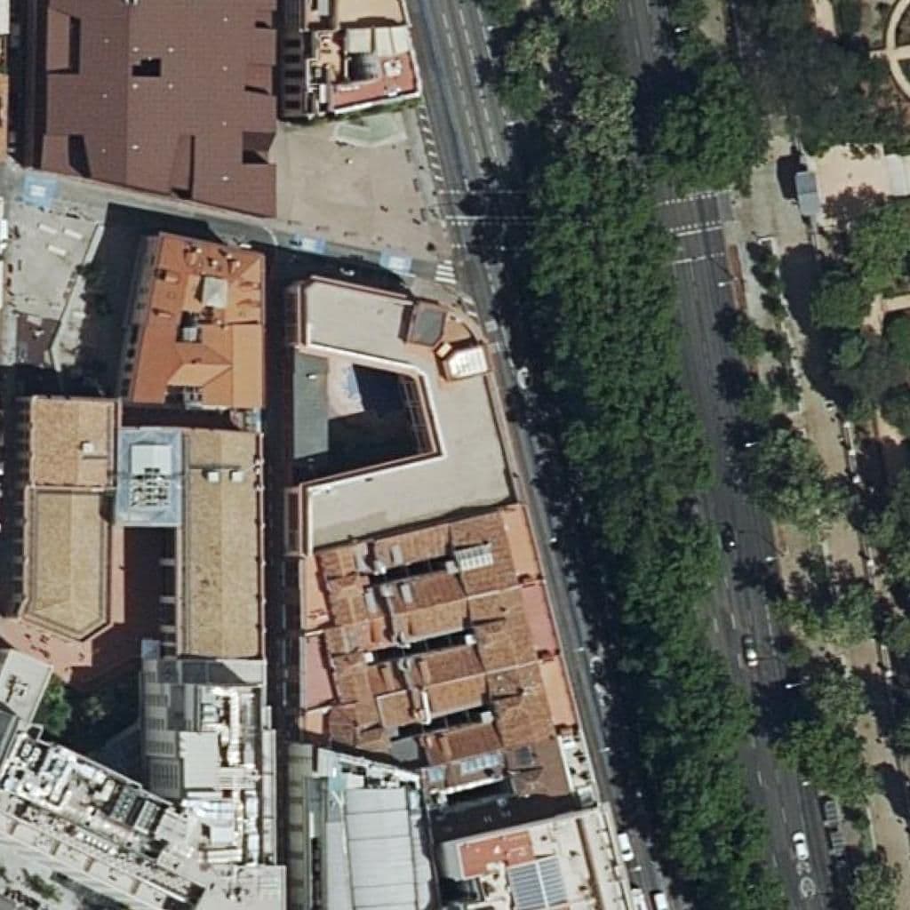 Вид сверху на территорию школы «Palacio Valdes»