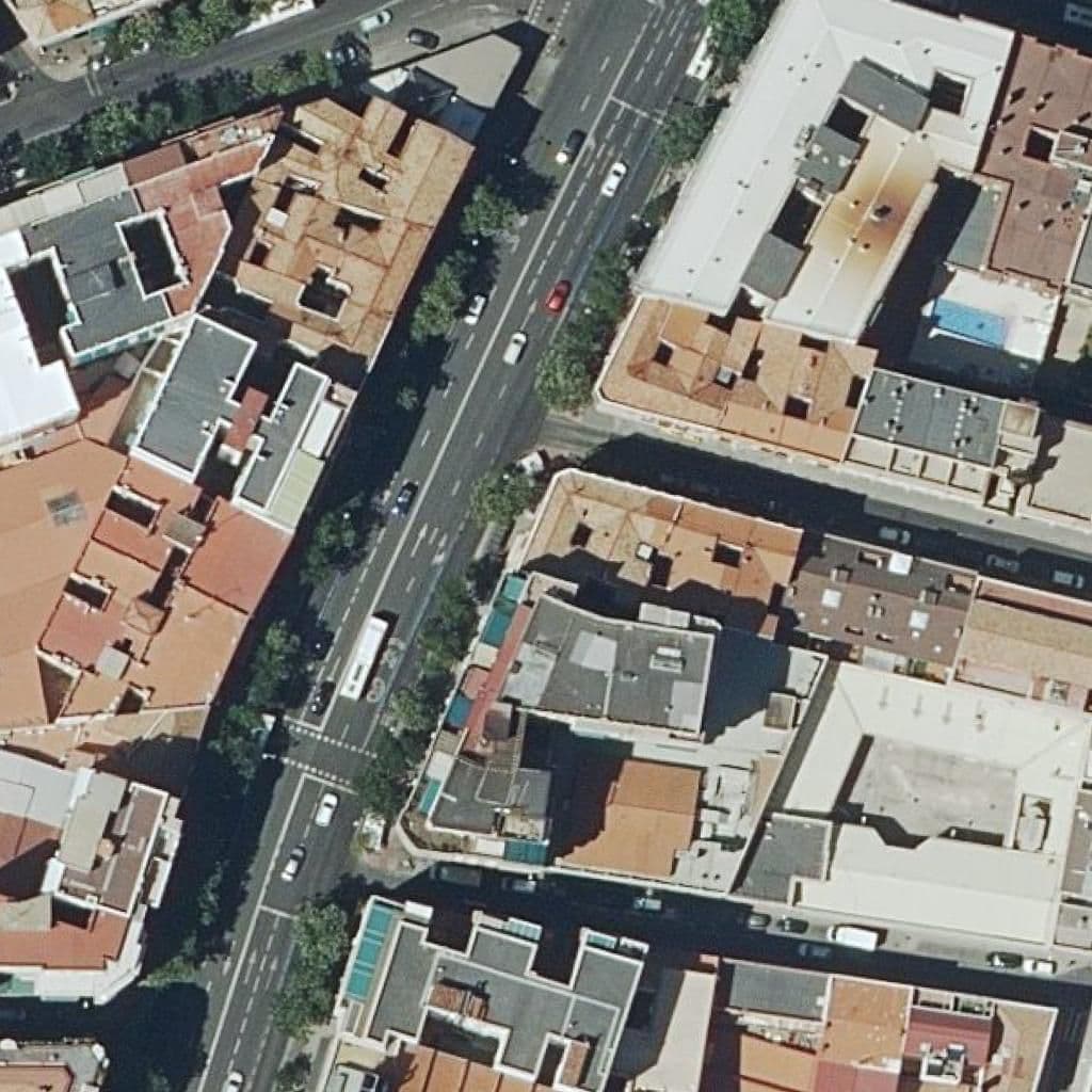 Aerial view of the grounds of San Anselmo