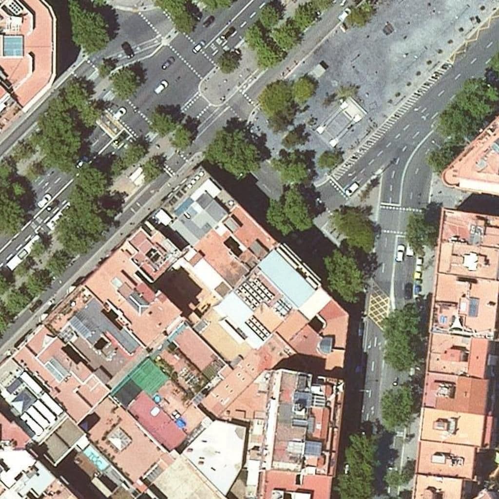 Aerial view of the grounds of Sant Francesc D'assís