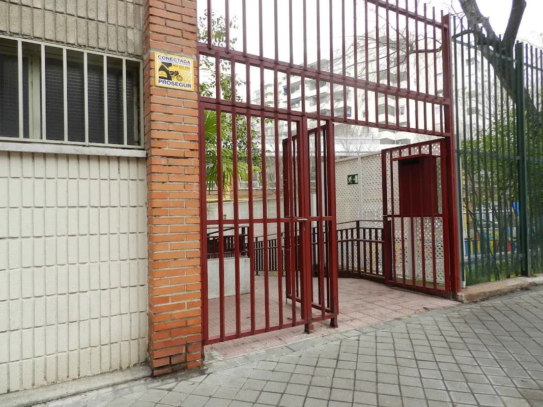 Photo 5