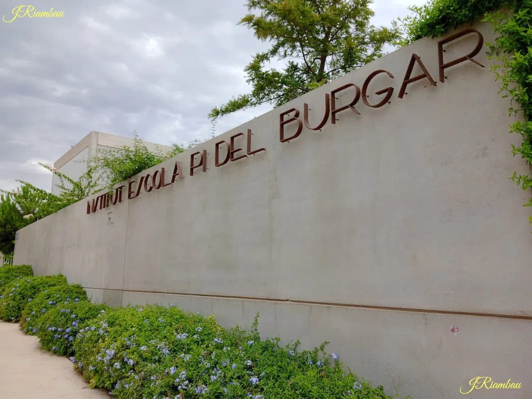 Institut Escola Pi Del Burgar