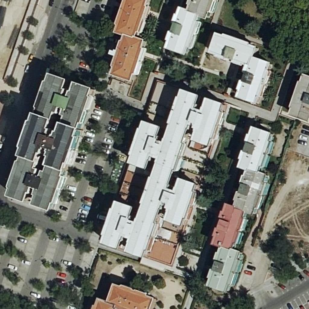 Aerial view of the grounds of Nuevo Liceo